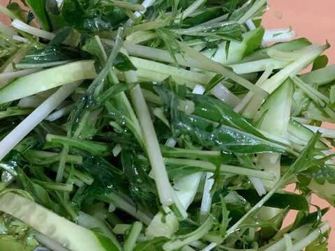 セロリ菜と水菜の中華サラダ